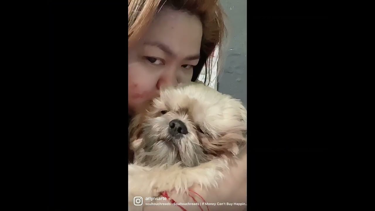 with my dogs #furmommy #dogloveryoutubechannel 