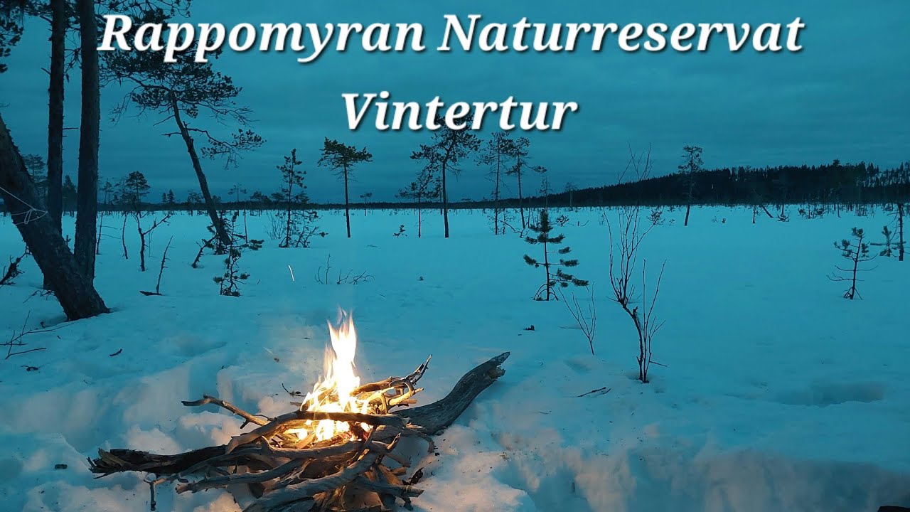 Rappomyran Naturreservat ● Vintertur, &Ouml;vernattning med Tarp & Hammock. Jokkmokk, Norrbotten |
