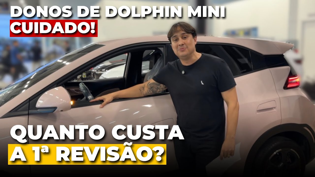 Tudo sobre a revis&atilde;o do Dolphin Mini (O que trocar, o que olhar e o custo final)