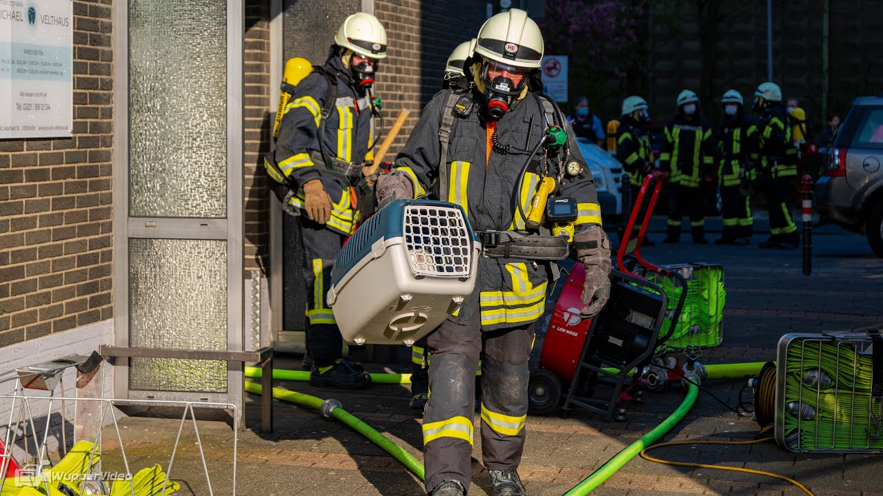 Feuerwehr rettet Bewohner von Balkon und Katzen aus Wohnung - FEUER 2Y in K&ouml;ln-Neubr&uuml;ck | 20.04.2021