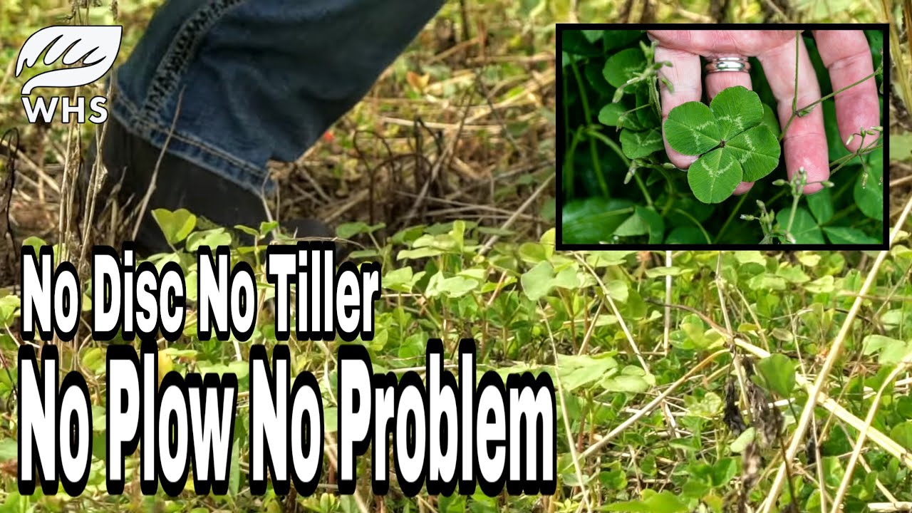 Impossible No Till Food Plots