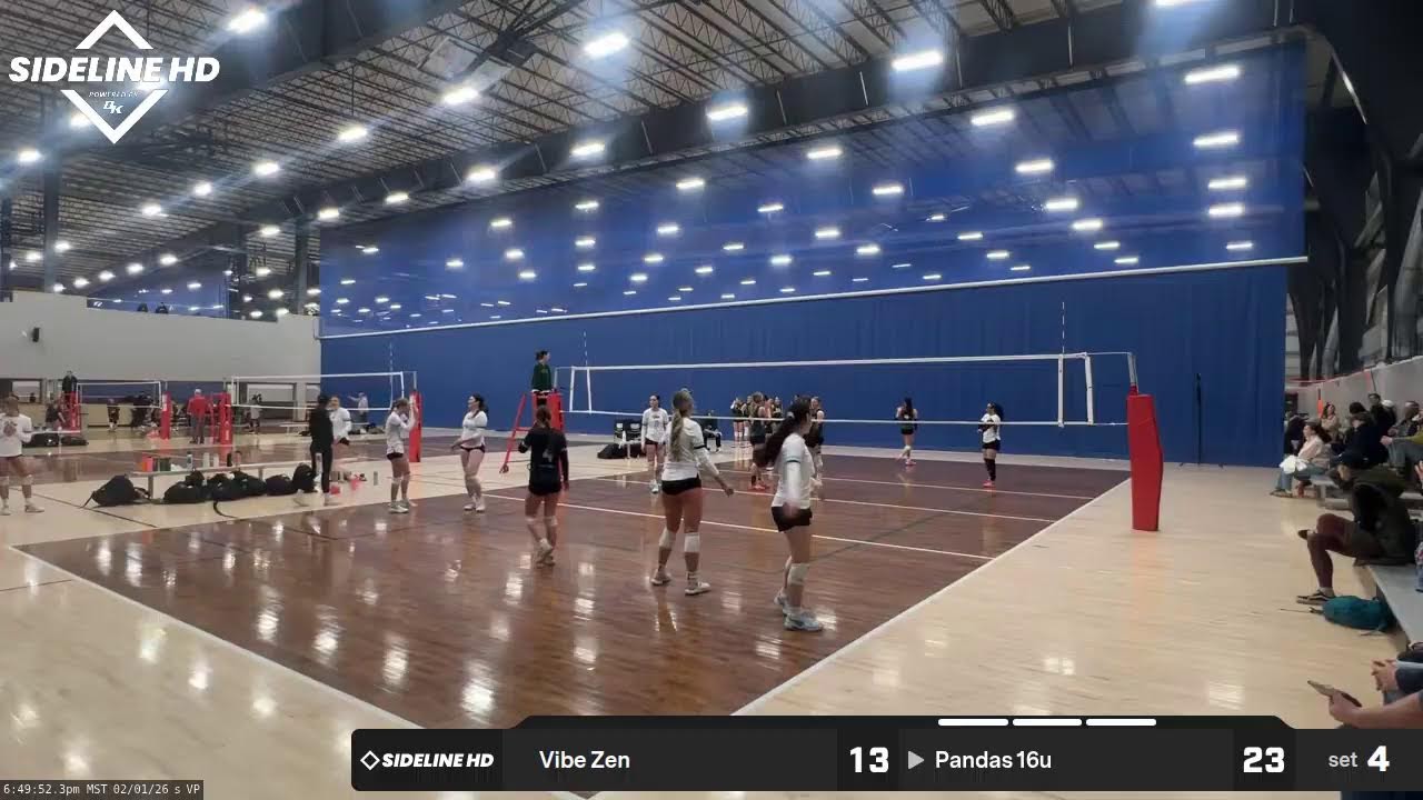 Vibe Zen @ Pandas 16u (2026.02.01)
