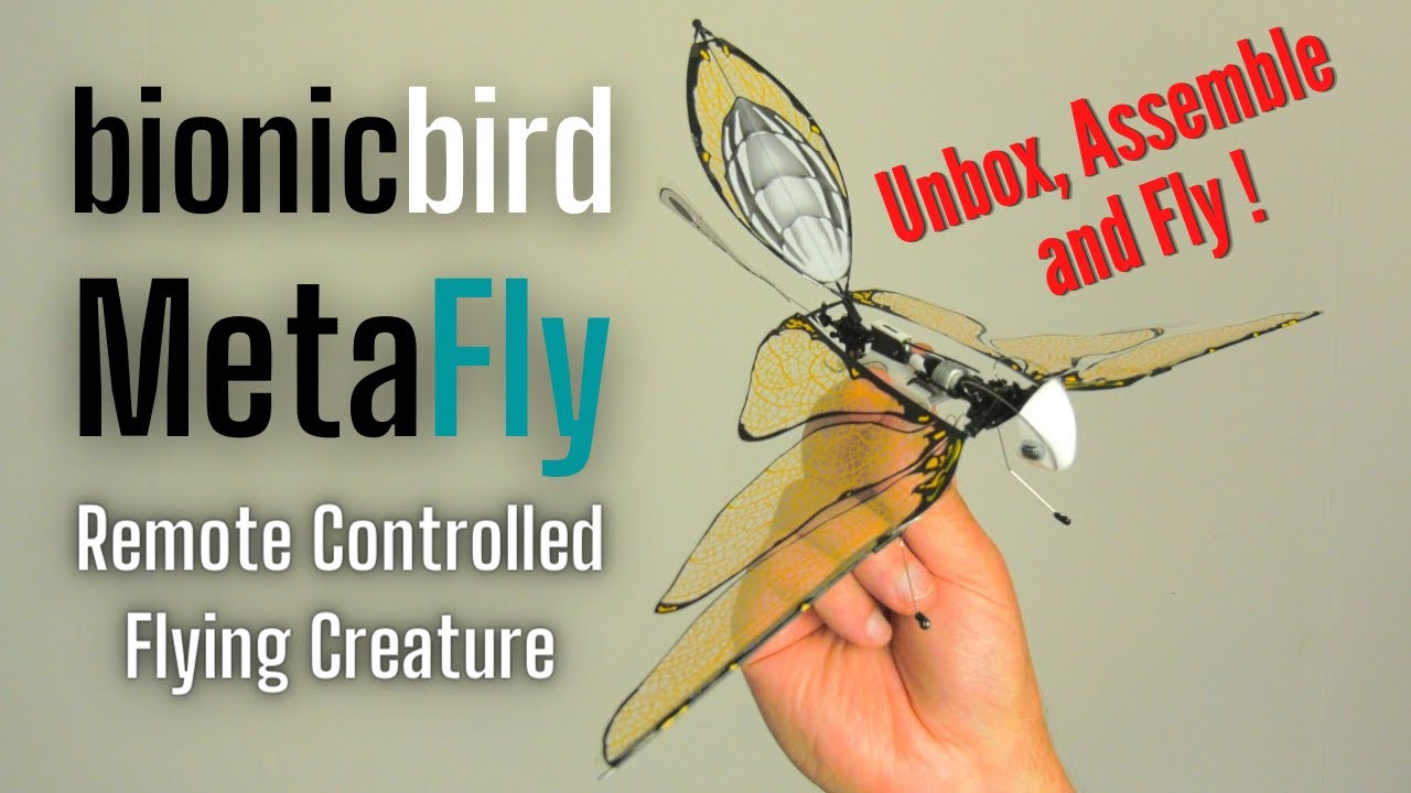 SMALLEST REMOTE CONTROLLED FLAPPING FLYING CREATURE | bionicbird MetaFly | LET'S FLY !