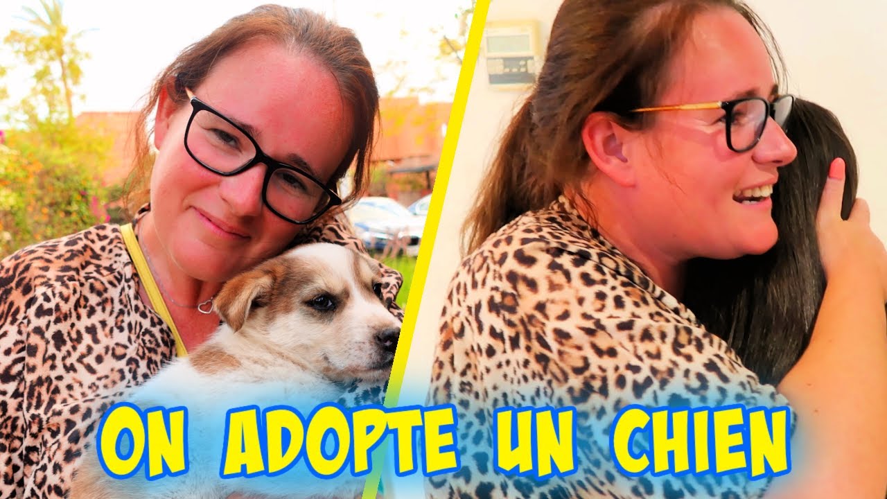 ON ADOPTE UN CHIEN DE LA RUE --- ALICYA EST EN PLEURE