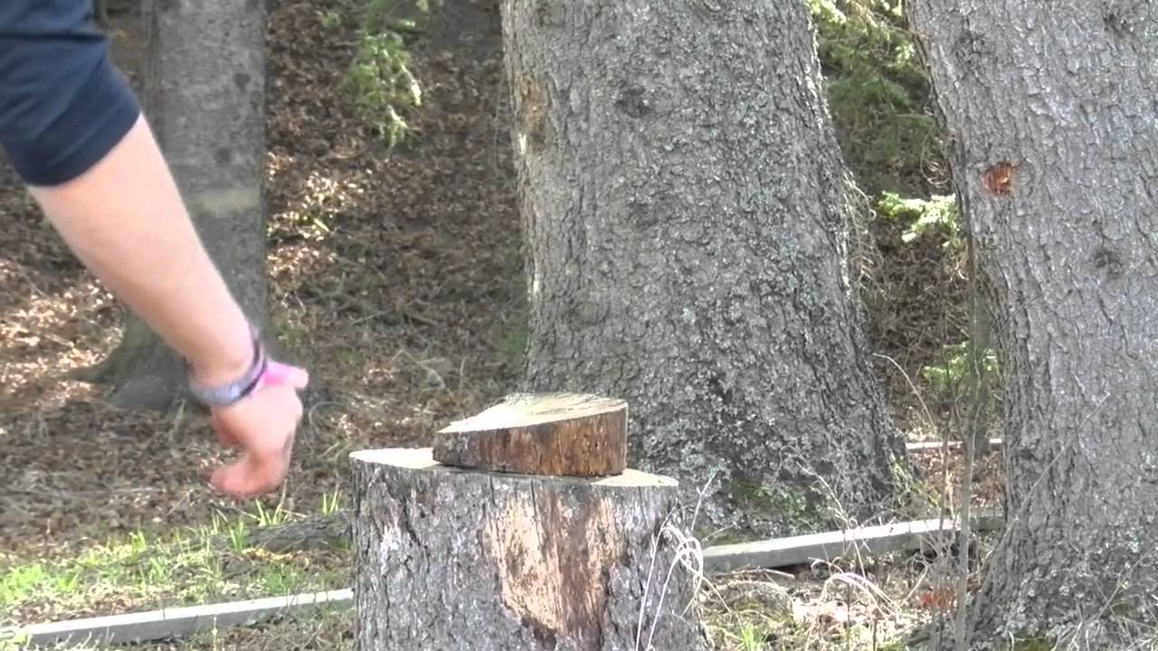Shooting at the cabin