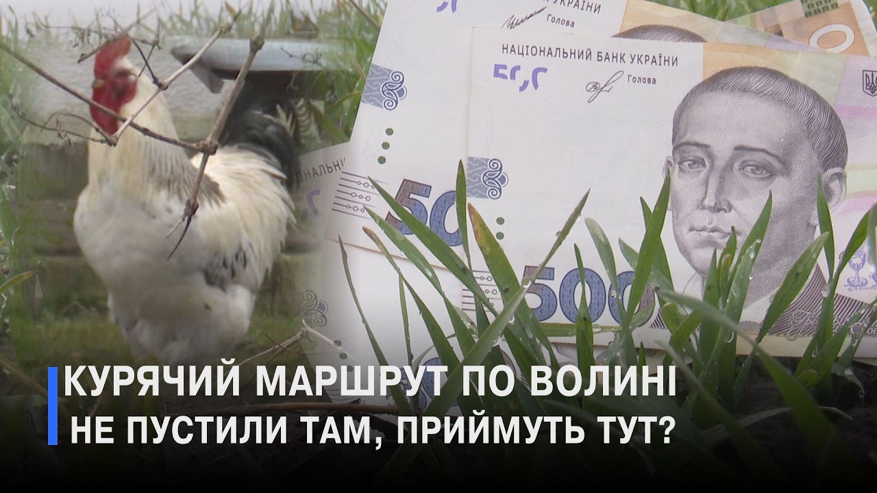 Приціл столичного бізнесу на волинські гектари: для чого скуповують землю на  Старовижівщині?