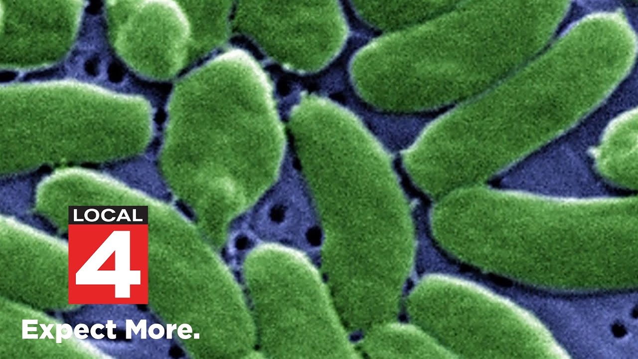 4 die from Florida flesh-eating bacteria