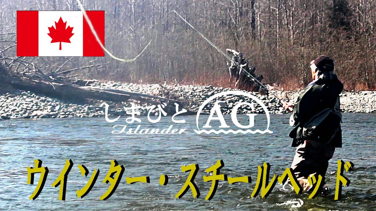 【カナダ 田舎暮らし】幻の魚スチールヘッド鱒を狙って釣行  | スチールヘッド フライフィッシング | スカジットキャストで狙うスチールヘッド | スペイキャスティング | カナダ バンクーバー島12