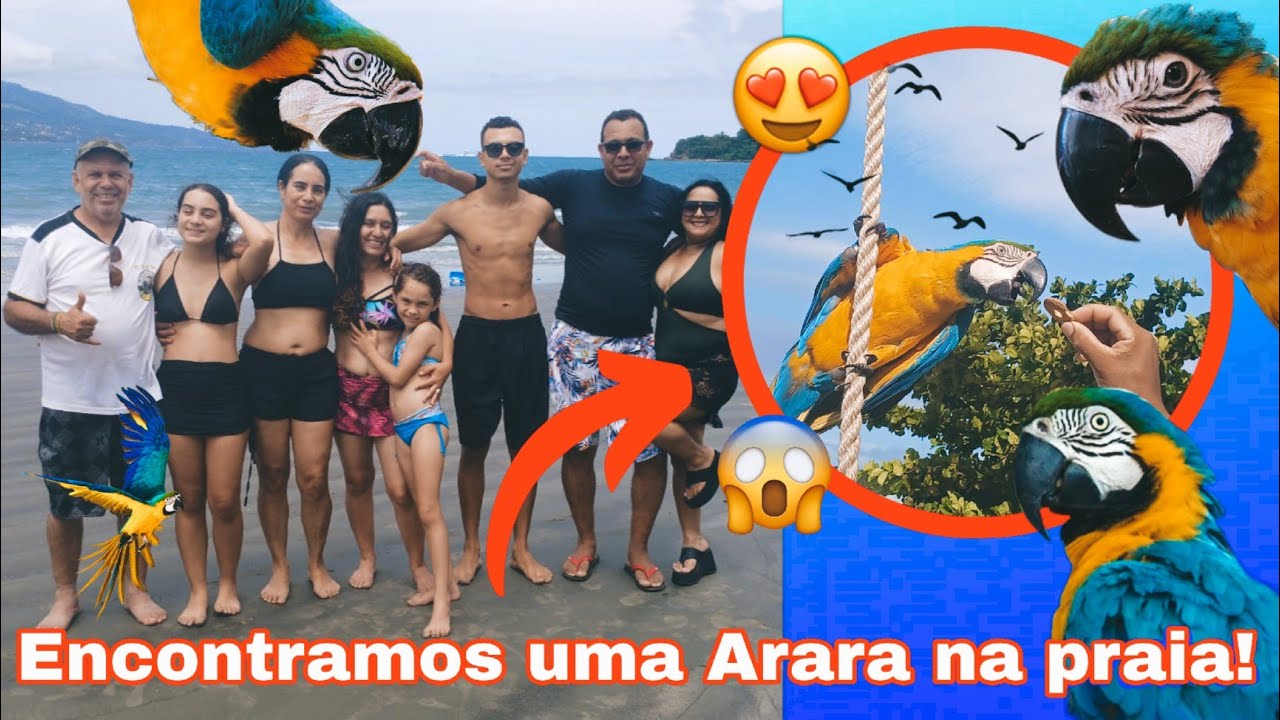 ARARA NA PRAIA!!! BALNEÁRIO DOS TRABALHADORES 🇧🇷