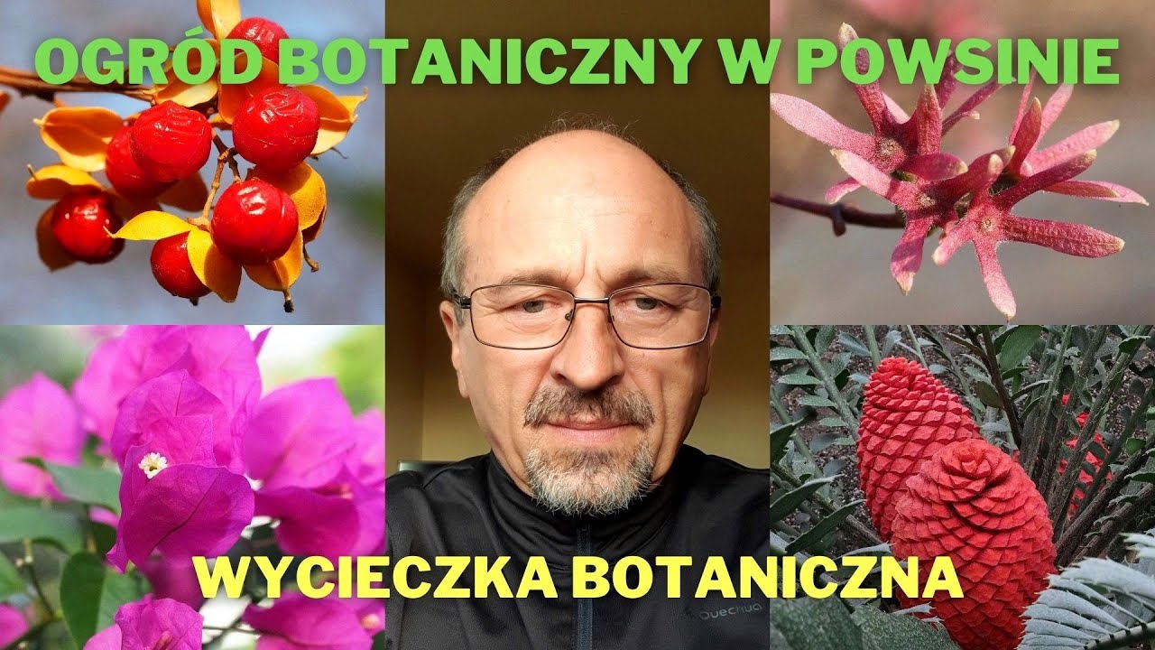 Ogr&oacute;d botaniczny Powsin - wycieczka botaniczna