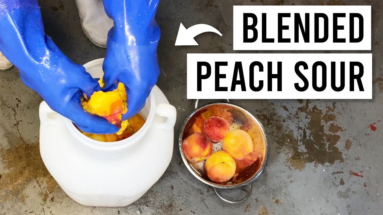 How To Brew BLENDED FRUIT SOUR BEER