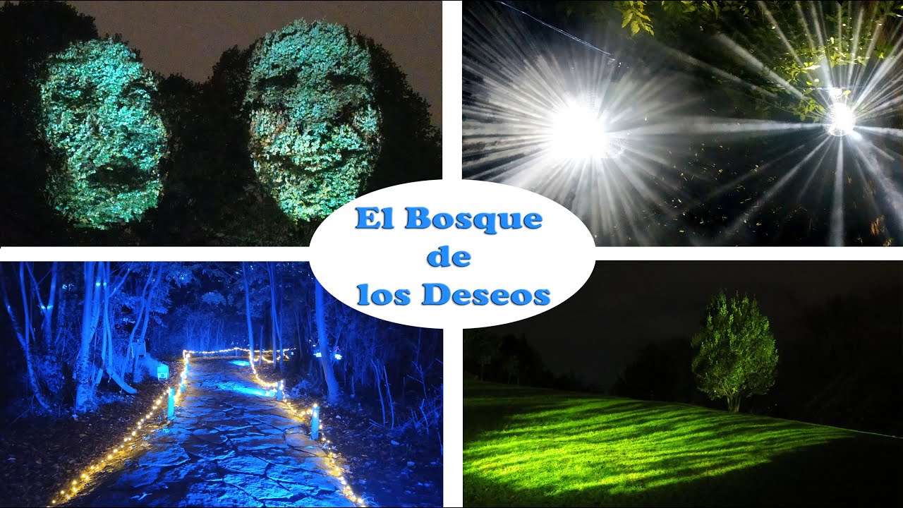El bosque de los deseos - Leioa