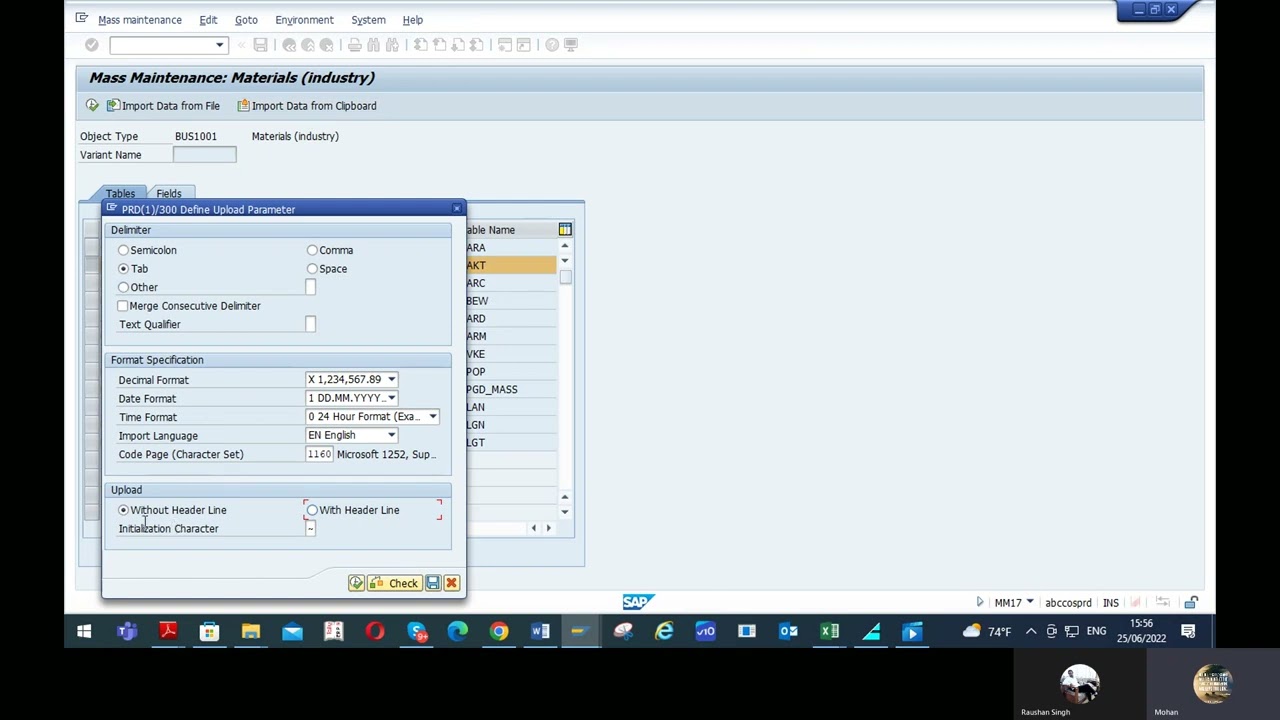 MM17 MASS CHANGE OF DESCRIPTION FOR MULTIPLE MATERIALS