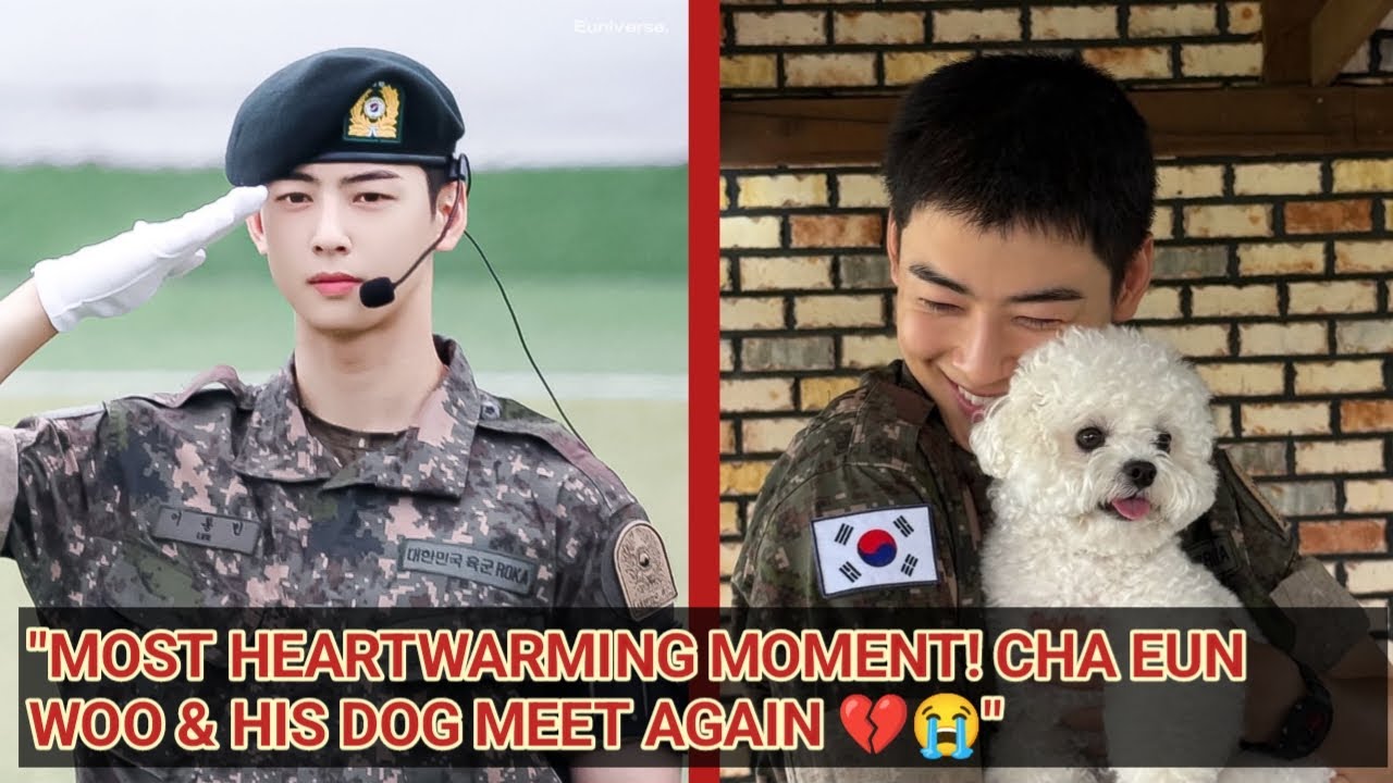 A touching moment, Cha Eun Woo meets Dongdongi again, this is his reaction!