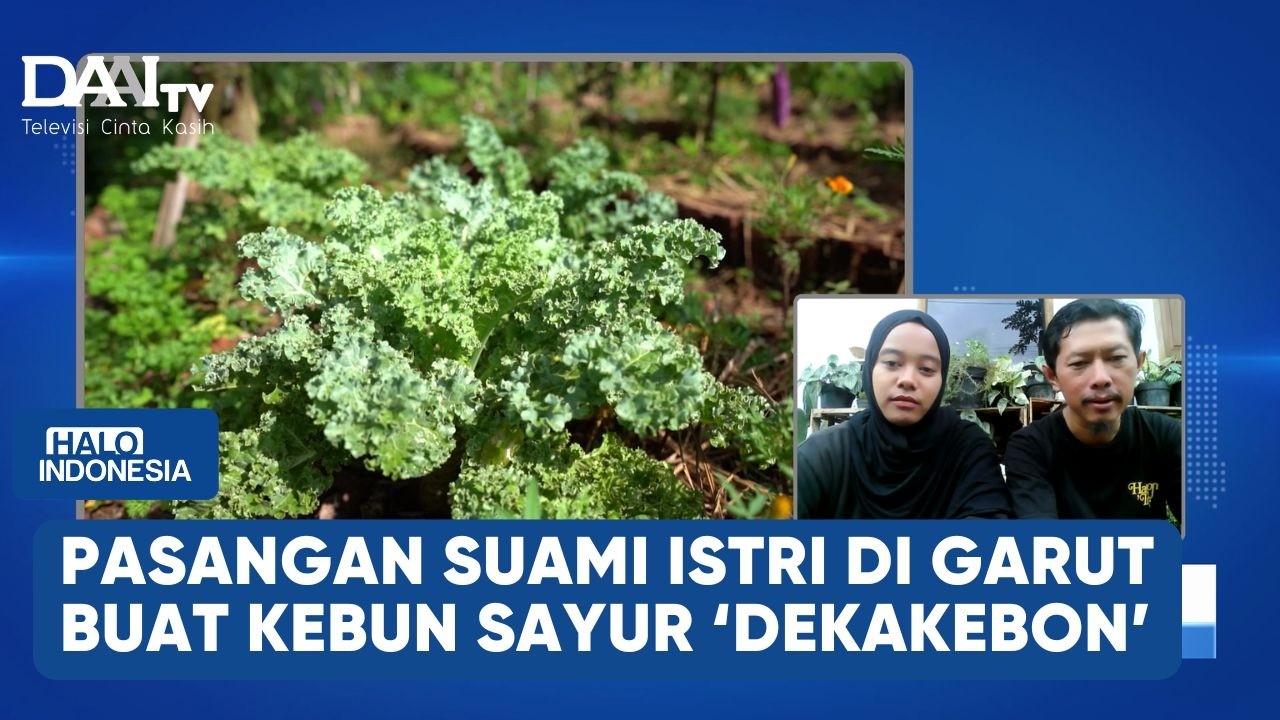 SUAMI ISTRI MEMBANGUN KEBUN SAYUR PENUH NUTRISI