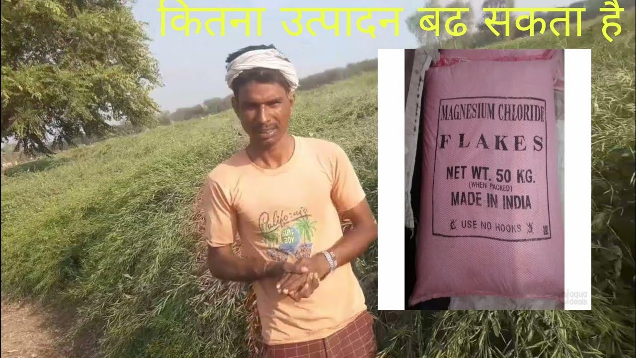 magnesium chloride और phosphoric acid पर मेरा अनुभव।