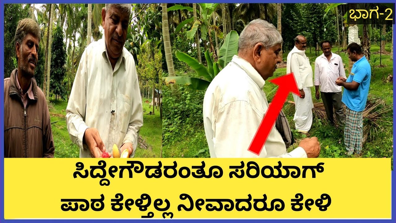 ತೆಂಗು ಮತ್ತು ಅಡಿಕೆ ತೋಟದಲ್ಲಿ ಜಾಕಾಯಿ ಬೆಣ್ಣೆ ಹಣ್ಣು ಏಲಕ್ಕಿ ಕಿತ್ತಳೆ ಮೂಸಂಬೆ ಇನ್ನೂ ಮುಂತಾದ ಬೆಳೆಗಳನ್ನು ಬೆಳೆದರೆ
