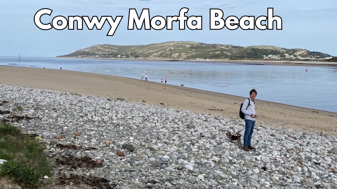 Escape to Conwy Morfa Beach, Wales: A Relaxing Day of Sunshine, Sea, and Cute Dogs