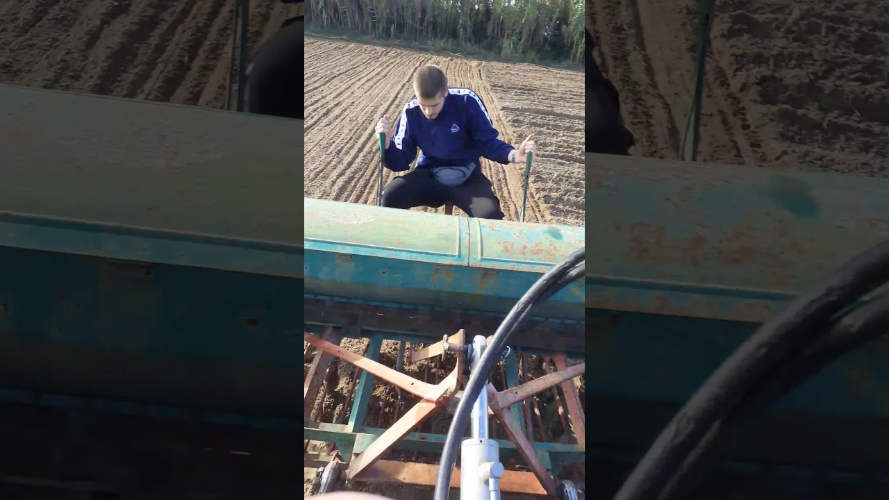 semina grano duro 2020