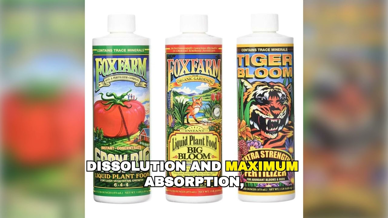 Grow 10x Faster Without Soil 🌱
