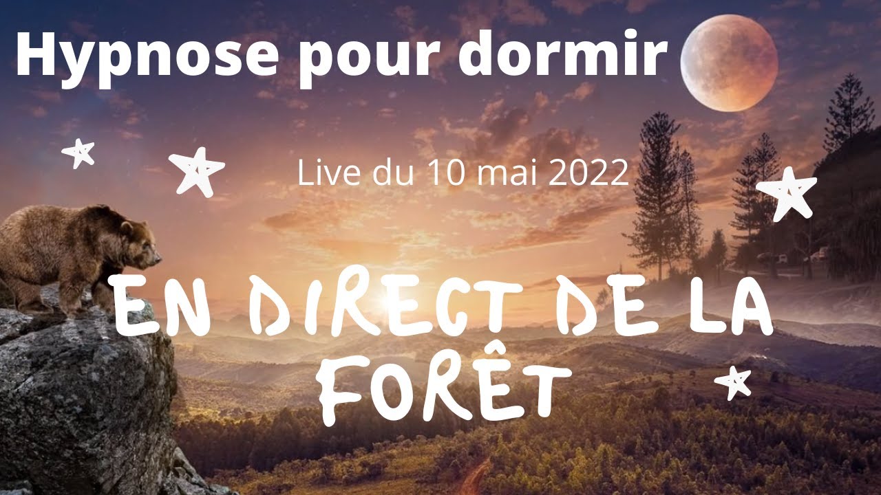 Live hypnose pour dormir en direct de la forêt