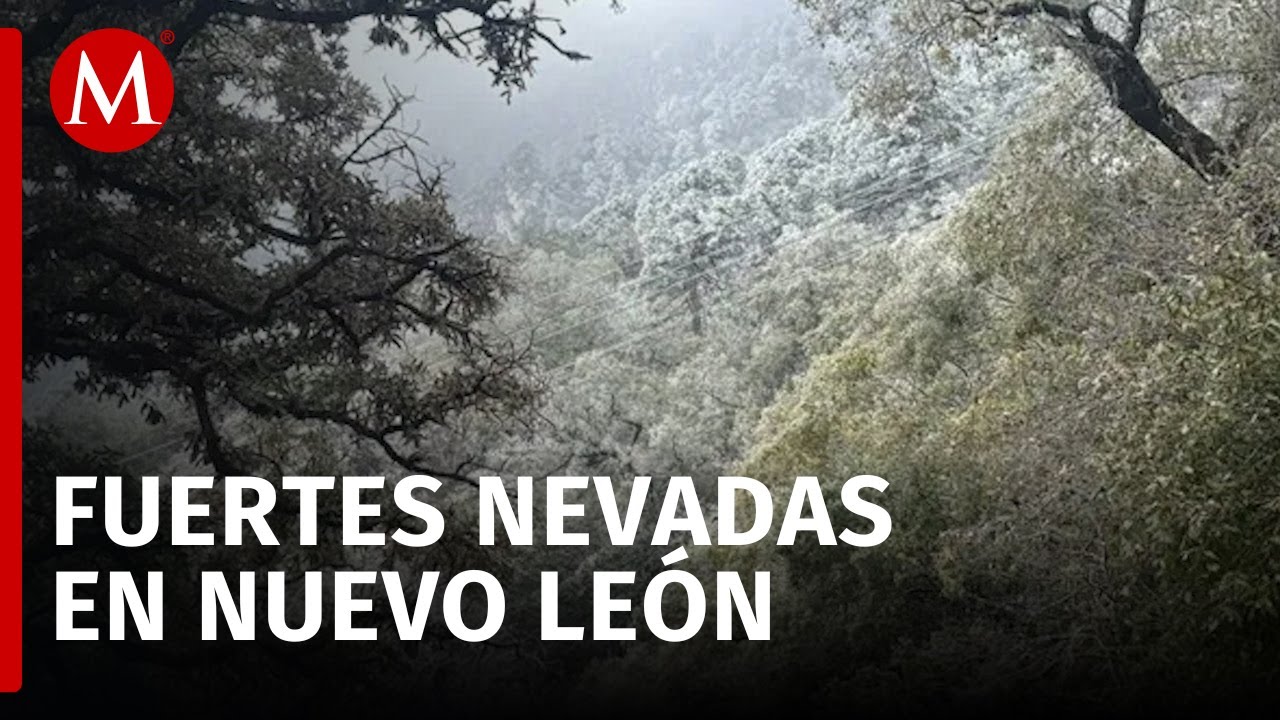 Parque Ecológico Chipinque se cubre de blanco por nevadas en Nuevo León