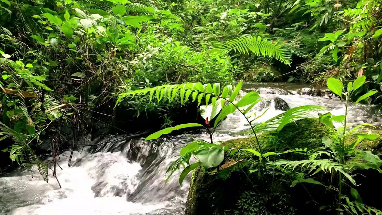 Serene Mountain River with Stress-Free Flow for Peace of Mind, Mindfulness & Concentration