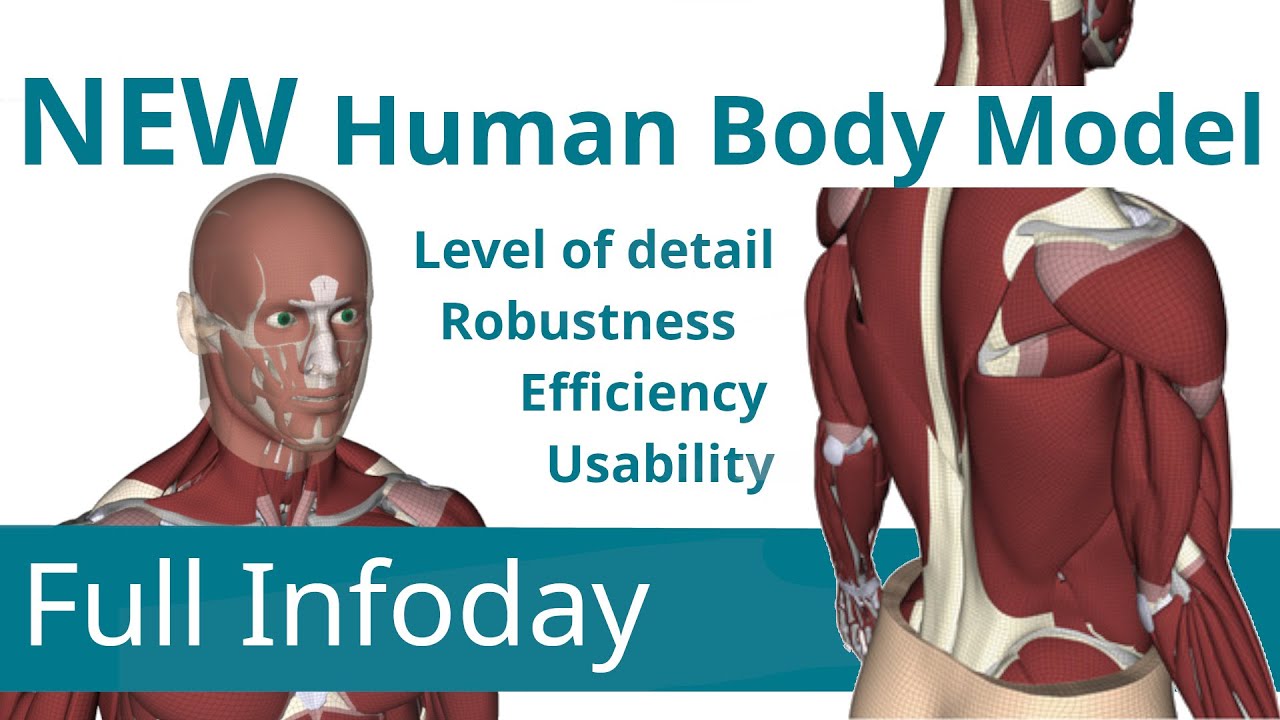 This is Hans: Infoday Human Modeling