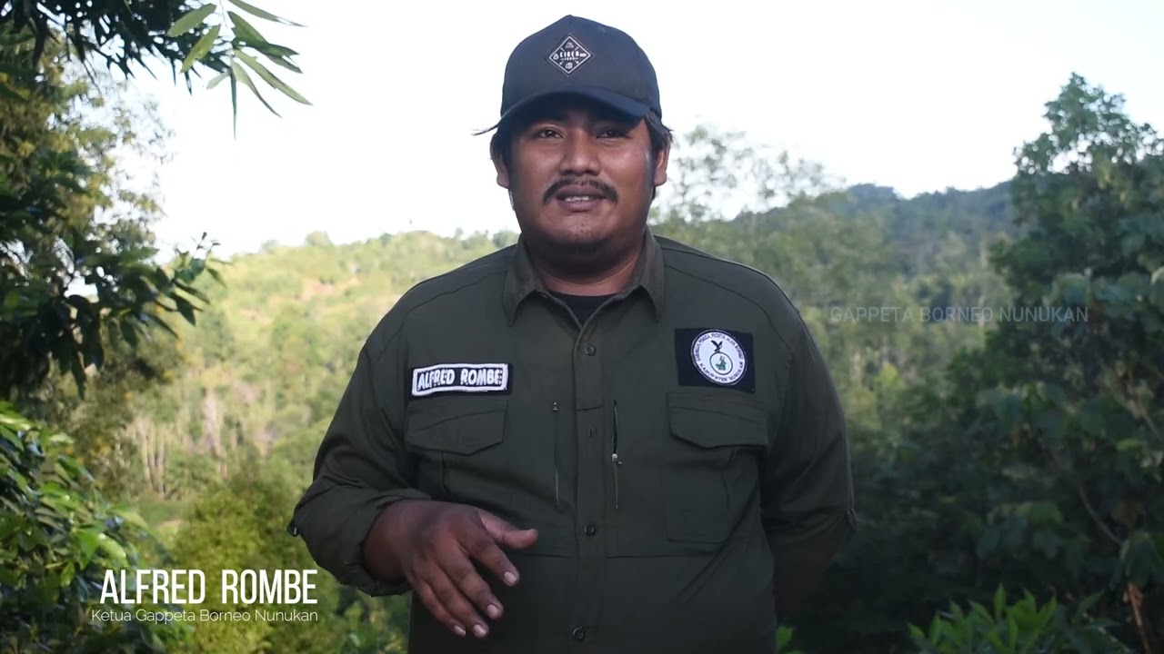 KEMBALINYA GAJAH KALIMANTAN YANG TERANCAM PUNAH