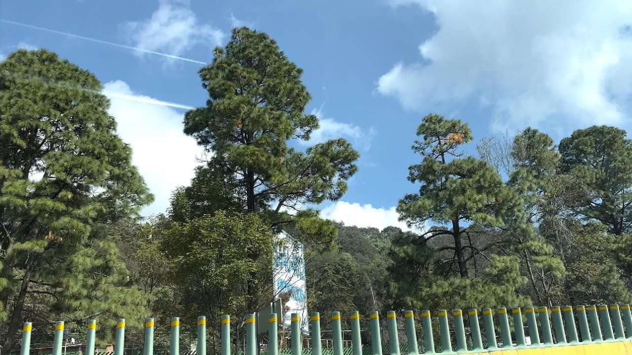 huyendo de mis problemas en cdmx