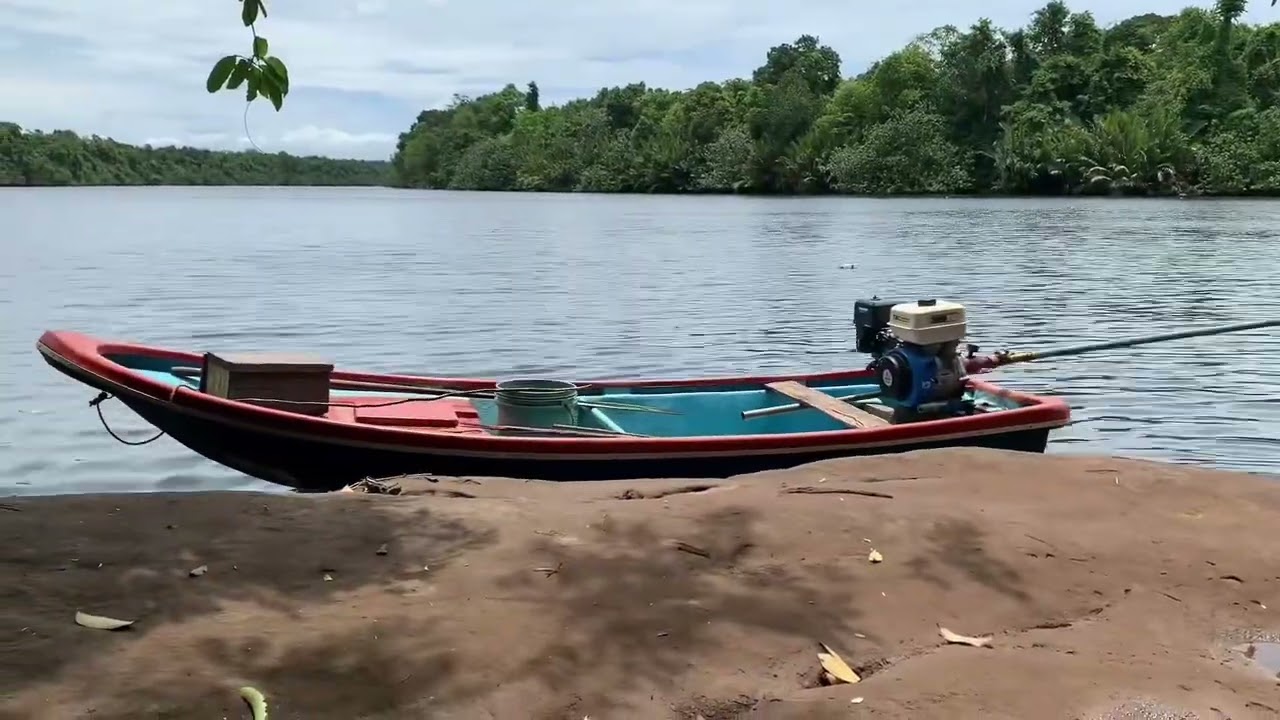 ជិះទូកលេង