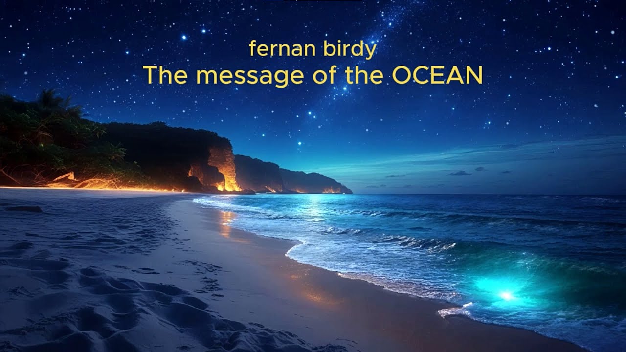 fernan birdy - The message of the ocean ( track 3 version video )