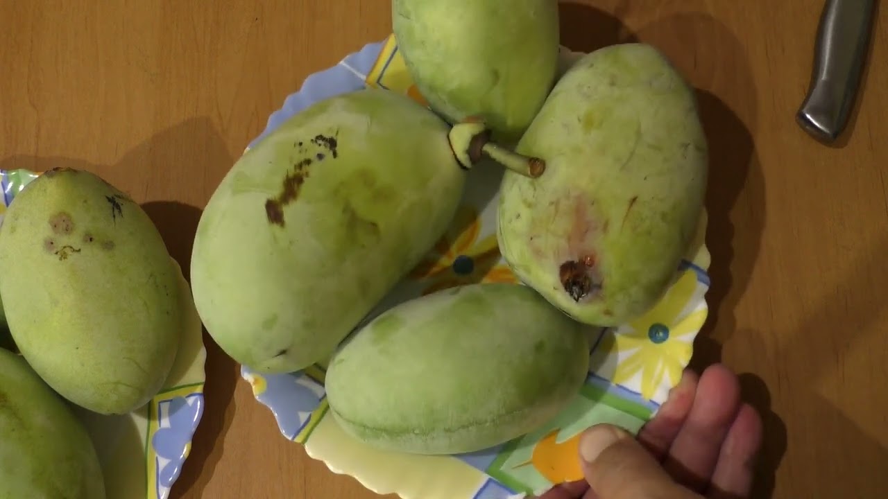 Азимина . Прима 1216,Шена....   24