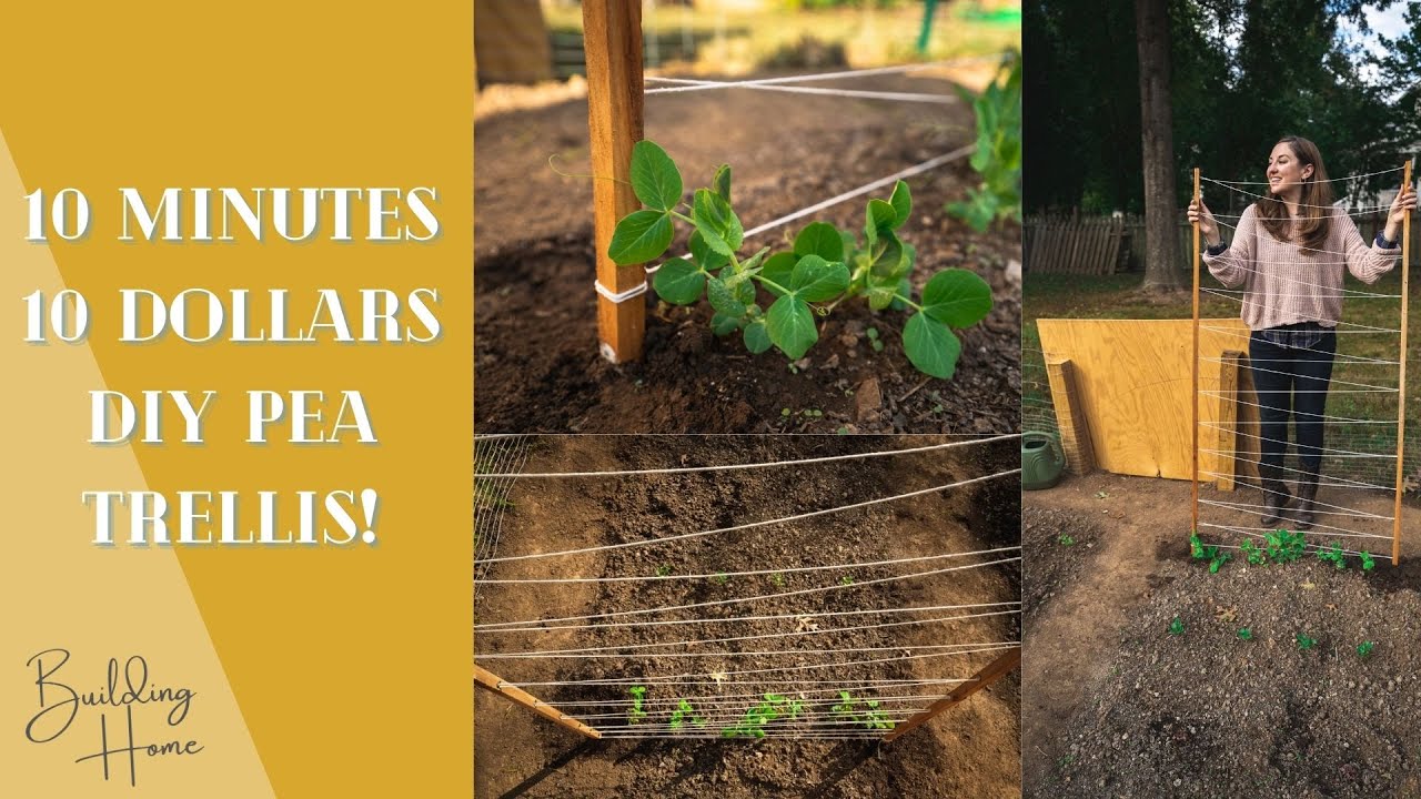 DIY Pea Trellis (10 Dollars and 10 Minutes)