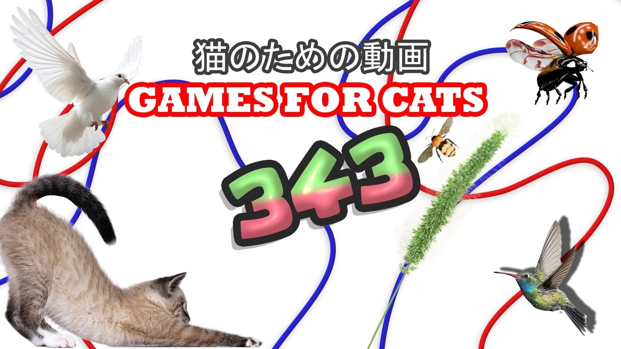 【Cat Games MIX 343】Cat TV 猫用フルスクリーン｜ネズミ・トカゲ・鳥・ヒモ | 8時間 🐱🐭