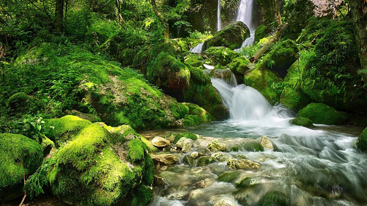 1 Hour Relaxing Music – Piano & Strings for Stress Relief, Focus and Calm