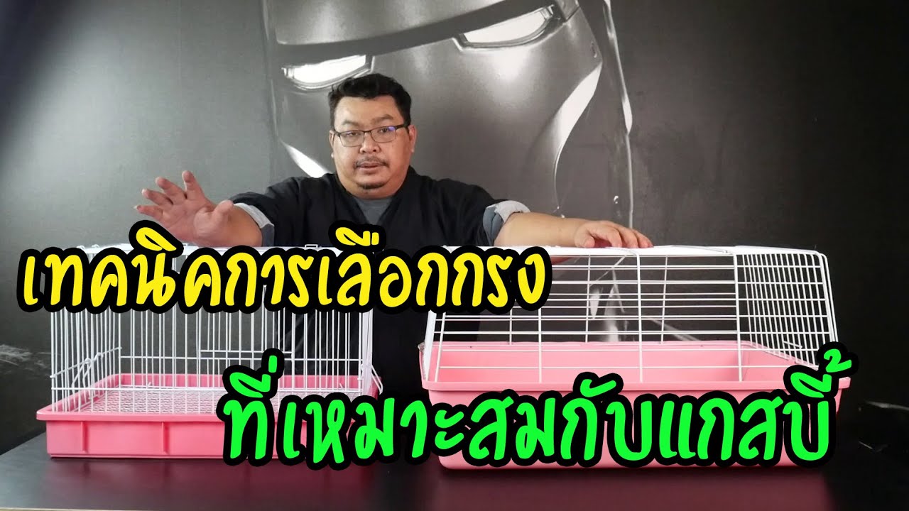 แกสบี้ควรใช้กรงแบบไหนดีน๊าา?!?