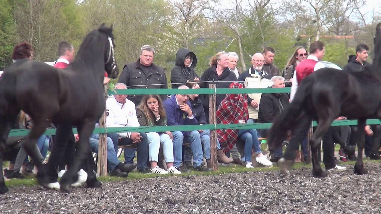 Fokgroep Wytske Hester Nynke Sierk x Tsjomme show Bosma 2017