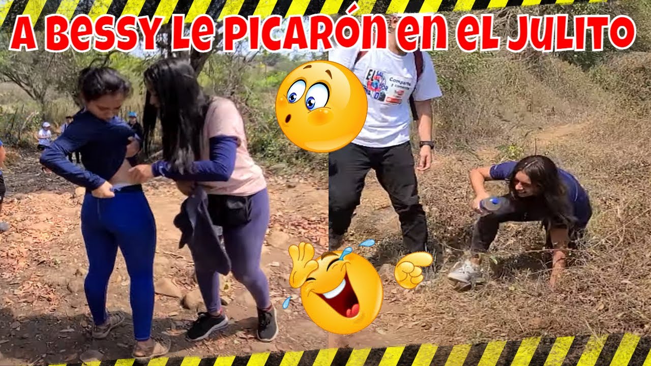 Adrenalina pura! Hurgamos una colmena y no terminó tan bien😰 Nadie se libró de esta aventura😅 P 9