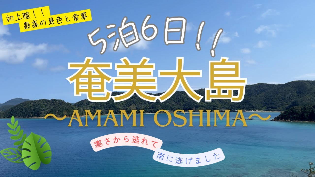 【30代夫婦の旅行】part1_2025年3月/5泊6日/奄美大島/幸せな思い出