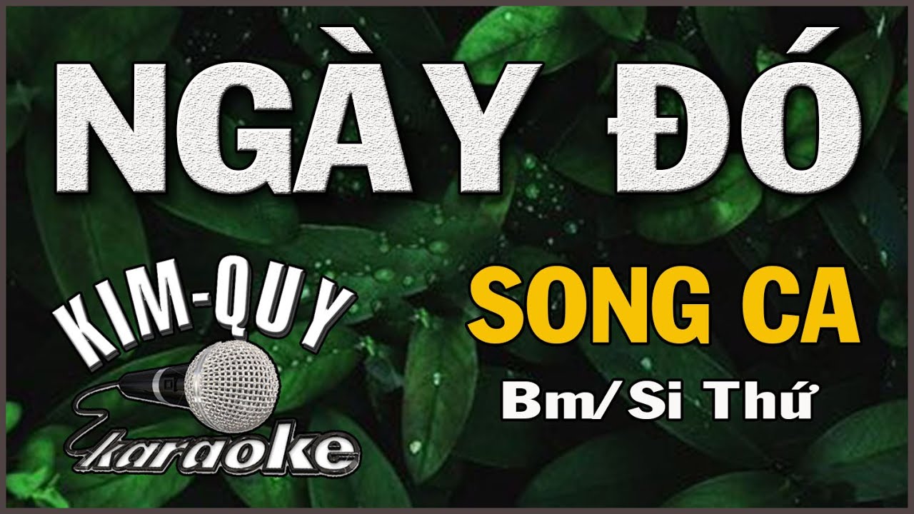 NGÀY ĐÓ - KARAOKE - SONG CA ( Bm/Si Thứ )