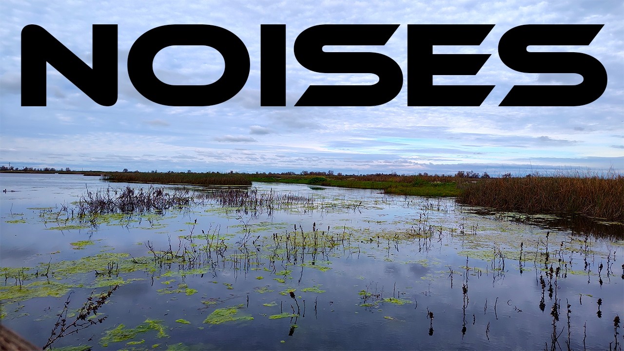 Nice and Calm Consumnes River Asmr For Peace And Relaxation