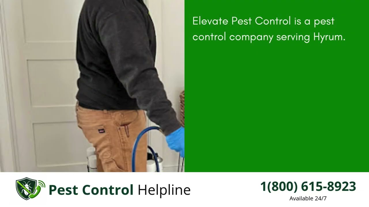 Top 3 Pest Control in Hyrum