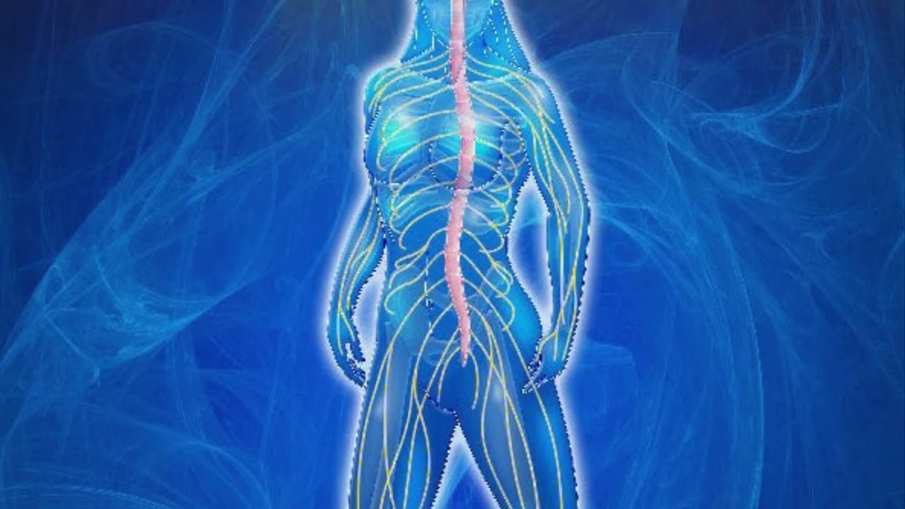 Body Electric