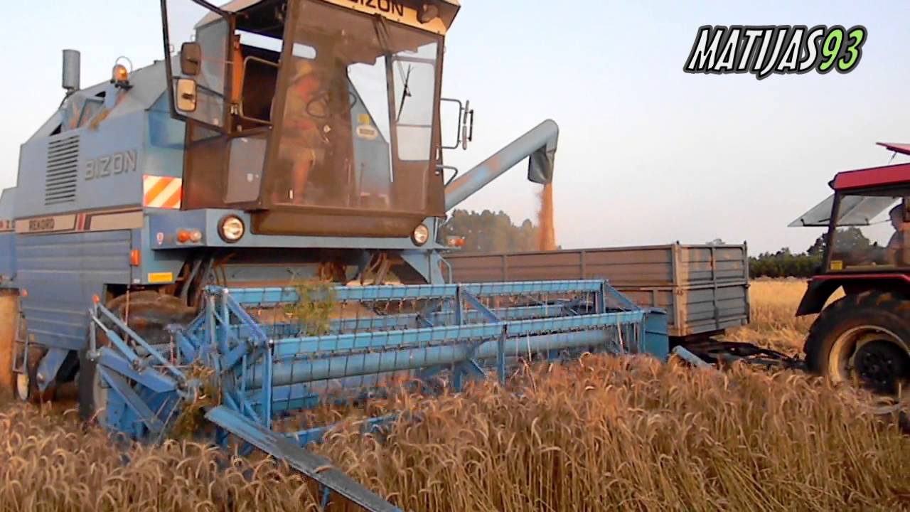 Żniwa 2013 - Kliny [Bizon Rekord ZO58 Rekord & Zetor 5340]
