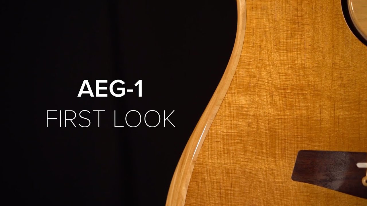 AEG-1 FIRST LOOK【日本語訳付】