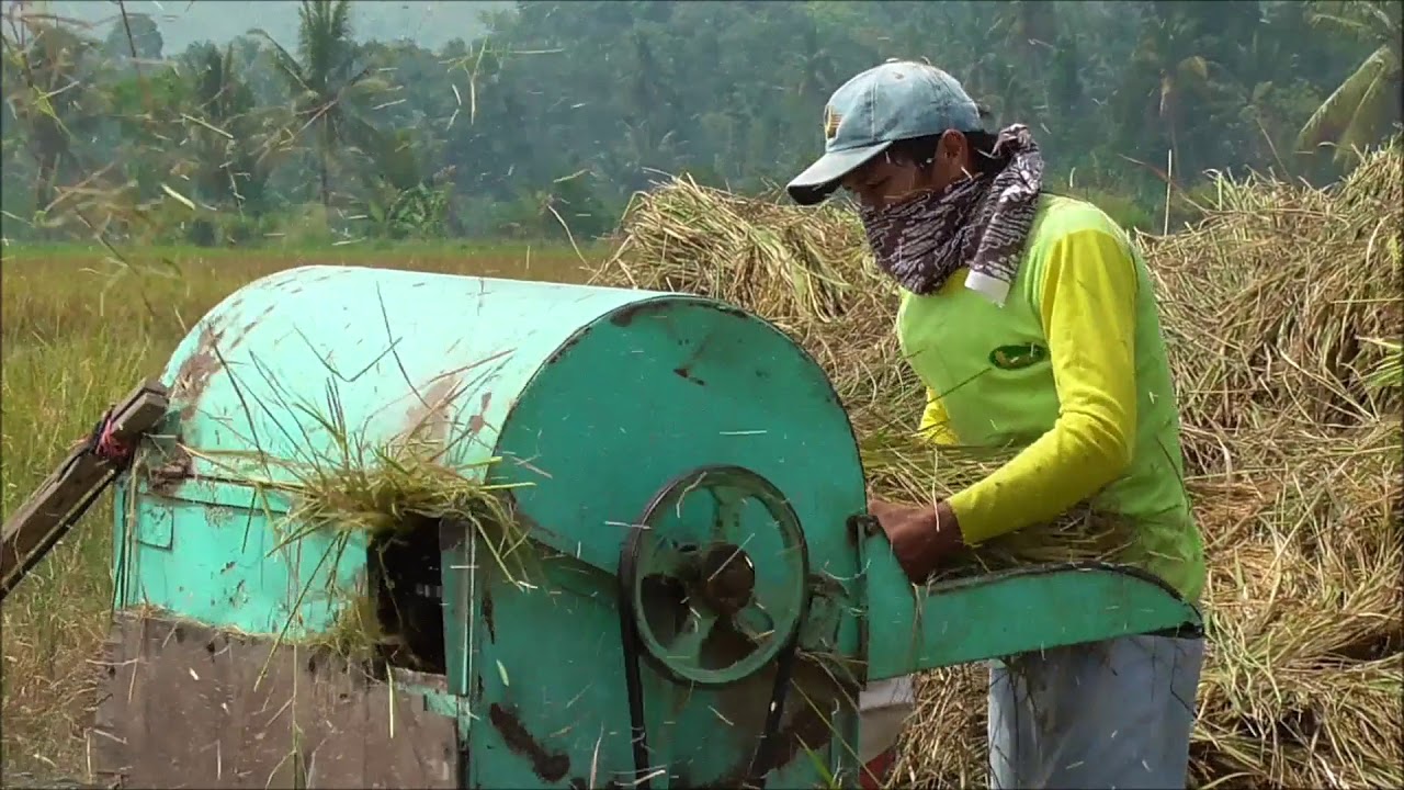Mesin Perontok Padi di Ranah Minang