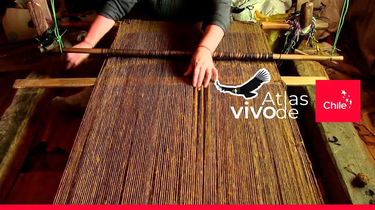 Tejedoras chilotas: rescate textil y diseño en Chiloé | Atlas Vivo de Chile