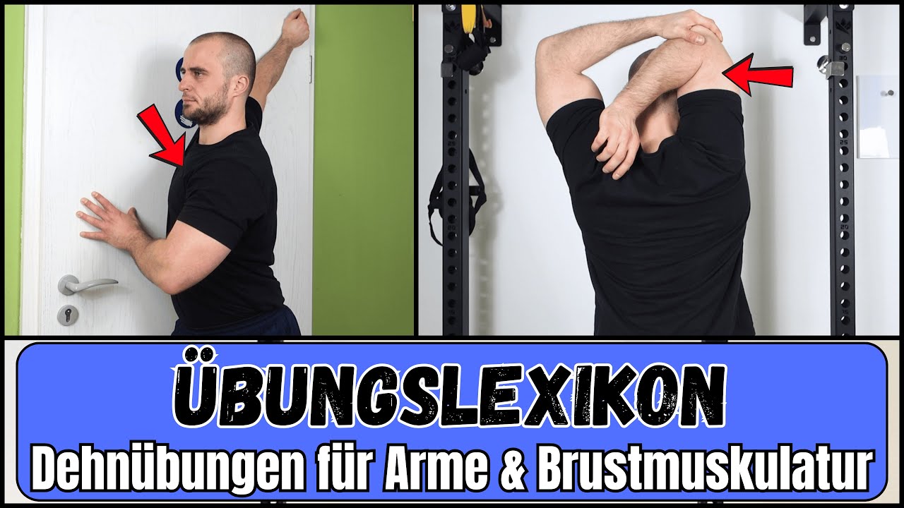 Bizeps, Trizeps & Brustmuskulatur dehnen - Übungslexikon Dehnung
