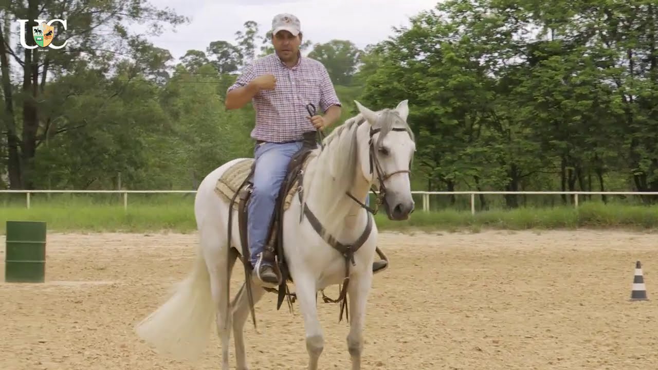 TV UC - Cavalo que apoia demais na rédea